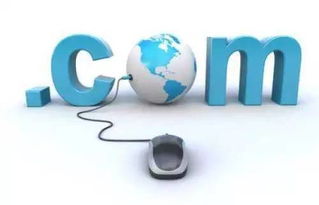 浙江推进互联网政务服务利企便民新举措